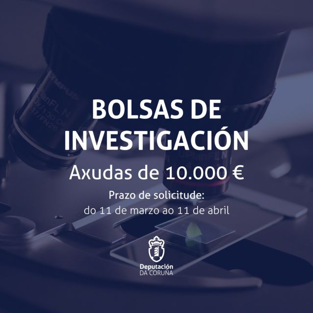 A Deputación abre o prazo de solicitudes para as bolsas de investigación e perfeccionamento de estudos artísticos