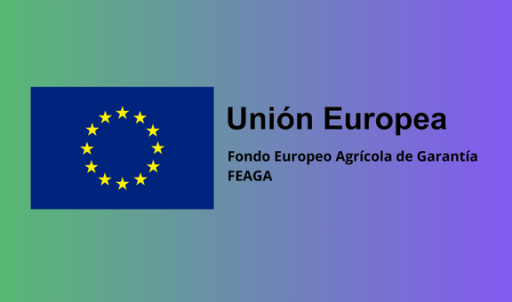 Proxectos de investigación aplicada e innovación no sector apícola - Data límite: 18/12/2025