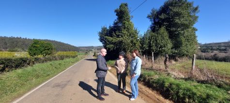 A rehabilitación da nave do polbo do recinto feiral de Moeche estará rematada para a feira do 23 de abril