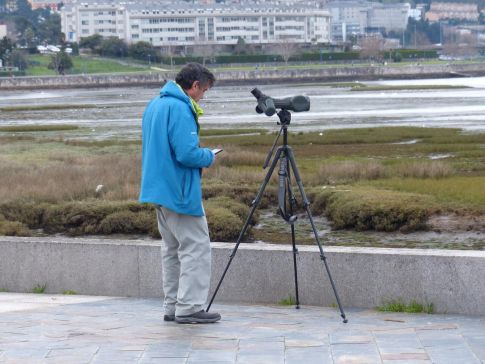 Concesión provisional de axudas para investimentos de entidades ambientais (DP0036/2025)