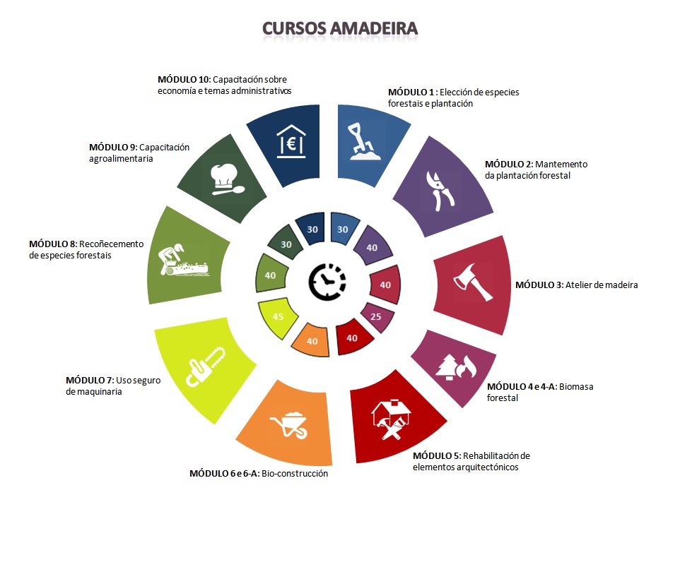 Gráfico Cursos Amadeira.jpg